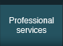 Professional Services